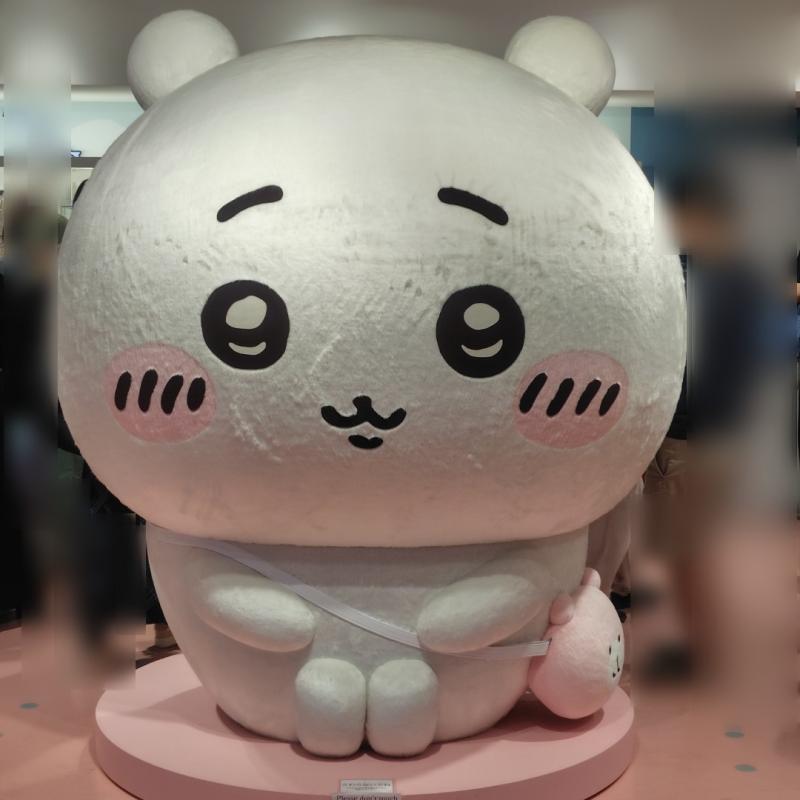 瀬名のブログ写真
